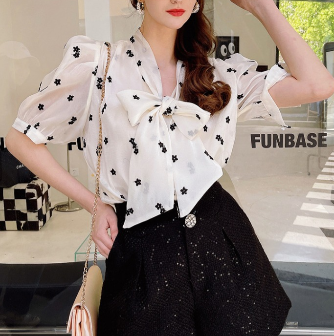 French Casual Loose Top 2022 New Embroidery Flower Organza Short Sleeve Shirt Women
